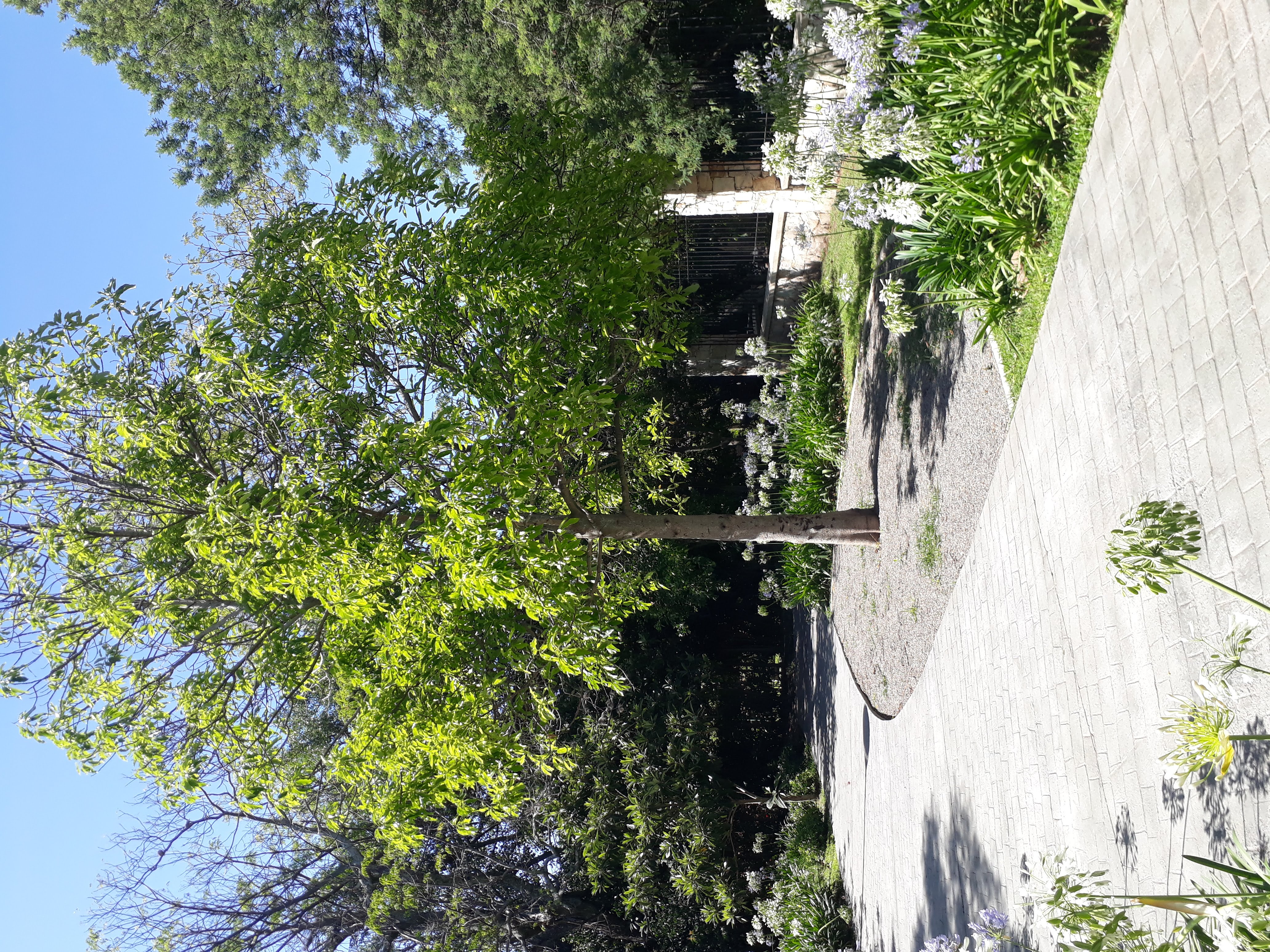 Pasaje Finca Sarmiento Martinez San Isidro 2022